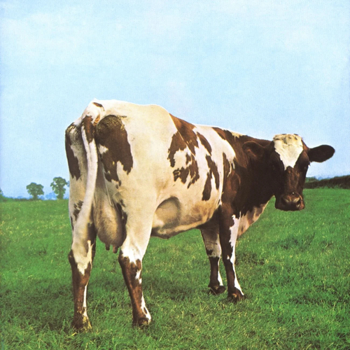 http://mail.netsvetaev.com/files/gimgs/th-39_10-pink-floyd-atom-heart-mother.jpg