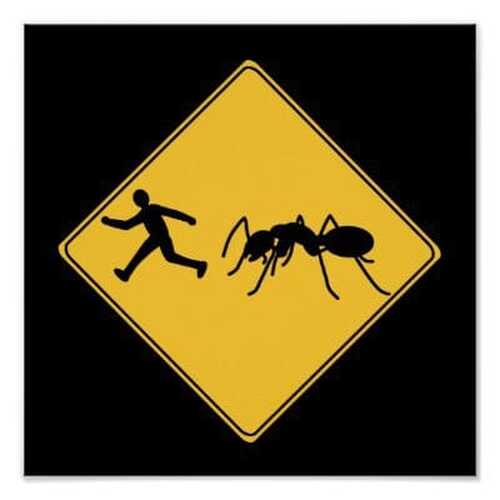 http://mail.netsvetaev.com/files/gimgs/th-45_road_sign_giant_ant_poster-ree996598e31f40029bef38304a7e9d24_wad_400.jpg